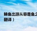 鲦鱼出游从容是鱼之乐也的翻译（鲦鱼出游从容是鱼之乐也翻译）