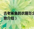 古老鲨鱼的衣服怎么样（古老鲨鱼是什么品牌古老鲨鱼的信息介绍）