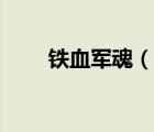 铁血军魂（说一说铁血军魂的简介）