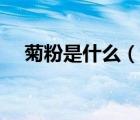 菊粉是什么（说一说菊粉是什么的简介）