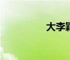 大李颖电视剧（大李颖）