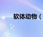 软体动物（说一说软体动物的简介）