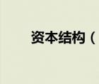 资本结构（说一说资本结构的简介）
