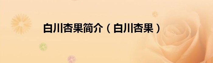 白川杏果简介（白川杏果）