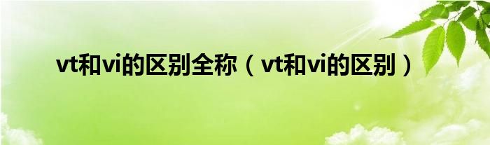 vt和vi的区别全称（vt和vi的区别）