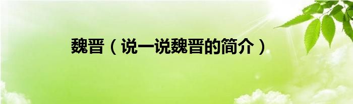 魏晋（说一说魏晋的简介）