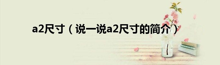 a2尺寸（说一说a2尺寸的简介）