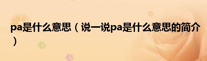pa是什么意思（说一说pa是什么意思的简介）