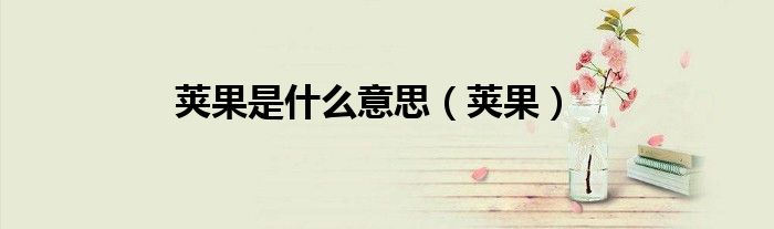 荚果是什么意思（荚果）