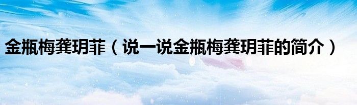 金瓶梅龚玥菲（说一说金瓶梅龚玥菲的简介）