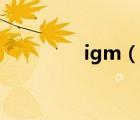igm（说一说igm的简介）