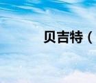 贝吉特（说一说贝吉特的简介）