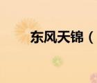 东风天锦（说一说东风天锦的简介）