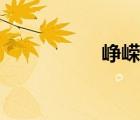 峥嵘风云（天下峥嵘）