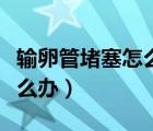 输卵管堵塞怎么办用什么中药（输卵管堵塞怎么办）
