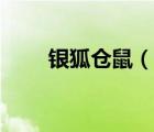银狐仓鼠（说一说银狐仓鼠的简介）