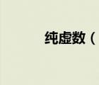 纯虚数（说一说纯虚数的简介）