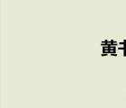 黄书法楷书（黄书）