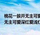 桃花一簇开无主可爱深红爱浅红的意思的意思（桃花一簇开无主可爱深红爱浅红的意思）