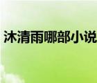 沐清雨哪部小说好看（沐清雨几本书的顺序）