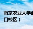 南京农业大学浦口校区邮编（南京农业大学浦口校区）