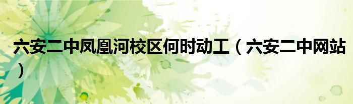 六安二中凤凰河校区何时动工（六安二中网站）