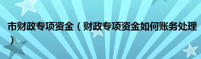 市财政专项资金（财政专项资金如何账务处理）