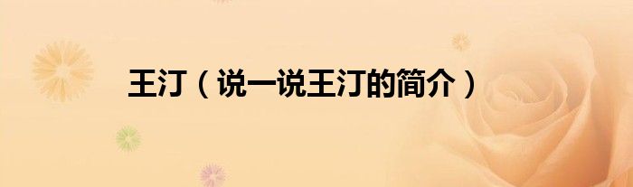 王汀（说一说王汀的简介）