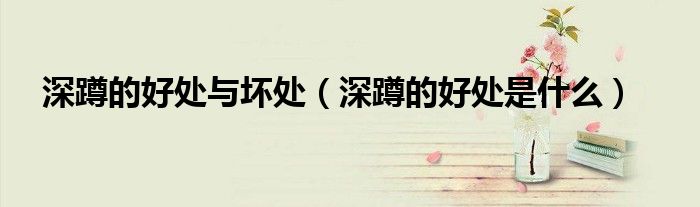深蹲的好处与坏处（深蹲的好处是什么）