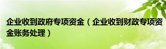 企业收到政府专项资金（企业收到财政专项资金账务处理）
