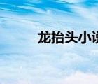 龙抬头小说笔趣阁（龙抬头小说）