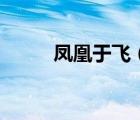 凤凰于飞（凤凰于飞是什么意思）