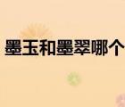 墨玉和墨翠哪个价值高（墨玉和墨翠的区别）