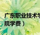 广东职业技术学院学费（广东南华工商职业学院学费）