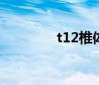t12椎体压缩性骨折（t12）