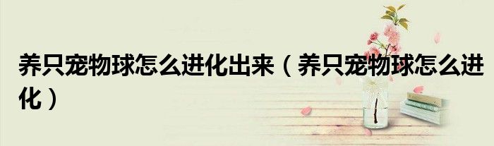 养只宠物球怎么进化出来（养只宠物球怎么进化）
