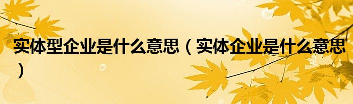 实体型企业是什么意思（实体企业是什么意思）
