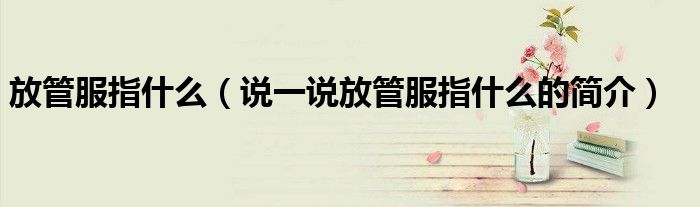 放管服指什么（说一说放管服指什么的简介）