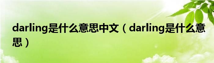 darling是什么意思中文（darling是什么意思）