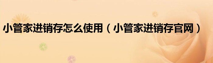 小管家进销存怎么使用（小管家进销存官网）