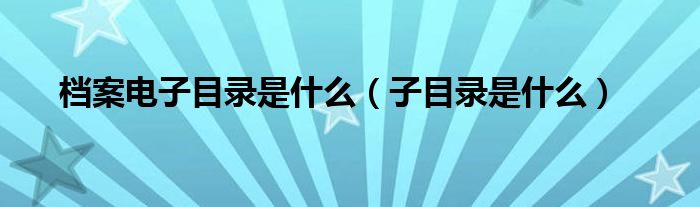 档案电子目录是什么（子目录是什么）