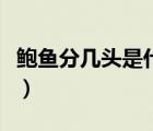 鲍鱼分几头是什么意思（鲍鱼几头是什么意思）