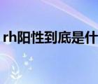 rh阳性到底是什么血型（rh阳性血什么意思）