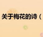 关于梅花的诗（说一说关于梅花的诗的简介）