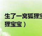生了一窝狐狸宝宝小说最新章节（生了一窝狐狸宝宝）