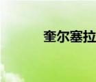 奎尔塞拉任务流程（奎尔萨拉）