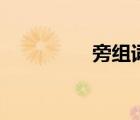 旁组词二年级（旁组词）