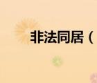 非法同居（说一说非法同居的简介）