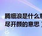 腾细浪是什么意思（更喜岷山千里雪三军过后尽开颜的意思）