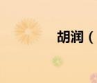 胡润（说一说胡润的简介）